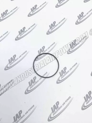 1503-1323-00 Seal-Radial