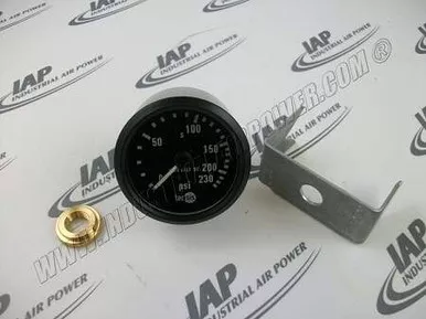 1613-5737-07 Gauge
