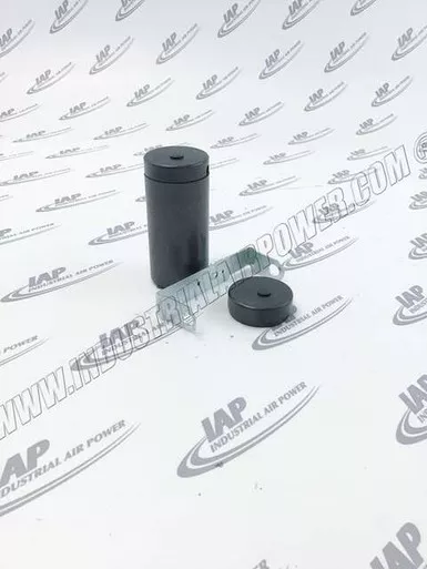 1617-1549-02 Capacitor-Start