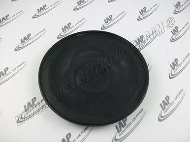 1621-0078-00 Diaphragm