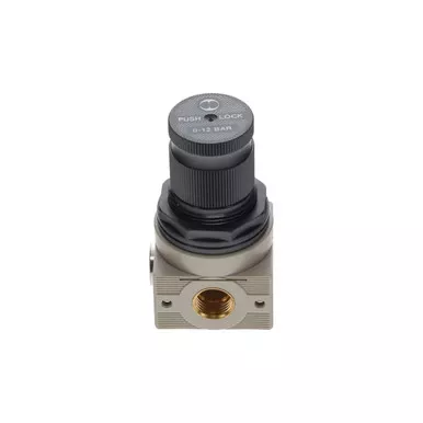 1624-7038-00 Valve Regulator