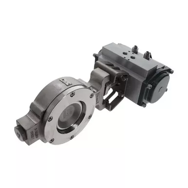 1624-8243-80 Valve Assembly Dn80