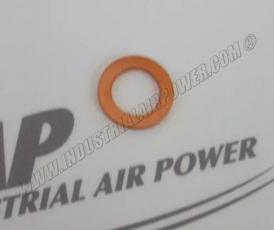 1625-3902-10 Washer Plain
