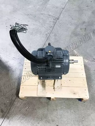 1630-0559-57 Motor E165051