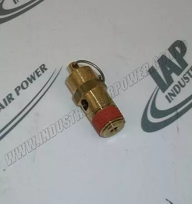2200-9507-76 Safety Valve.1/4 NPT 1