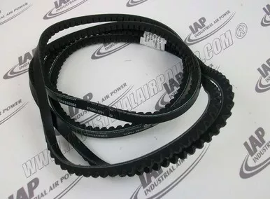 2204-1556-54 V-Belt