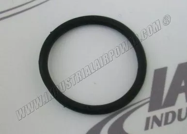 2205-4314-18 Sealing Ring