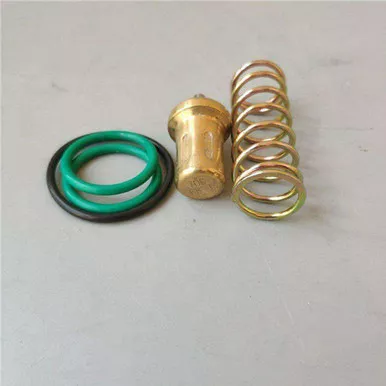 2205-4905-90 Thermostatic Valve Kit