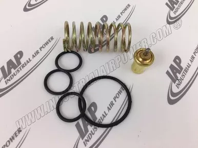 2205-4905-91 Thermostatic Valve Kit