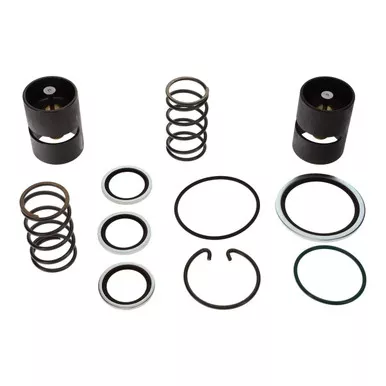 2230-0075-10 Kit Thermostat