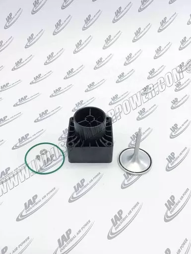 2901-2006-52 Inlet Valve Kit