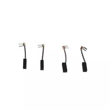 2901-3100-11 Carbon Brush Kit Lfxr72/110Vdc