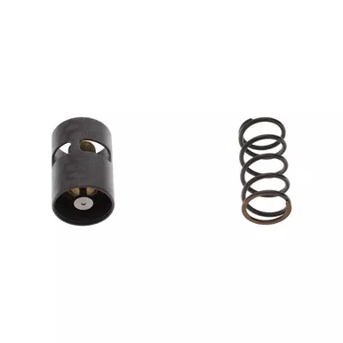2901-3503-00 Thermostat Tropical Kit