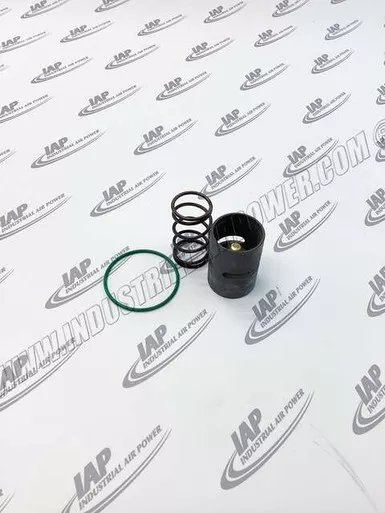 2901-9069-00 Therm Valve Kit 40 C146