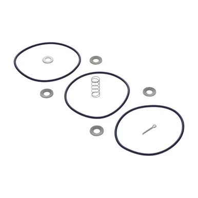 2902-0310-00 Inlet Valve Kit