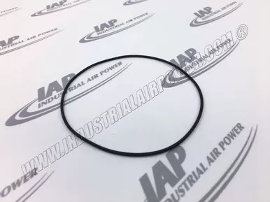 98504.1006 Bs53 Viton O-ring