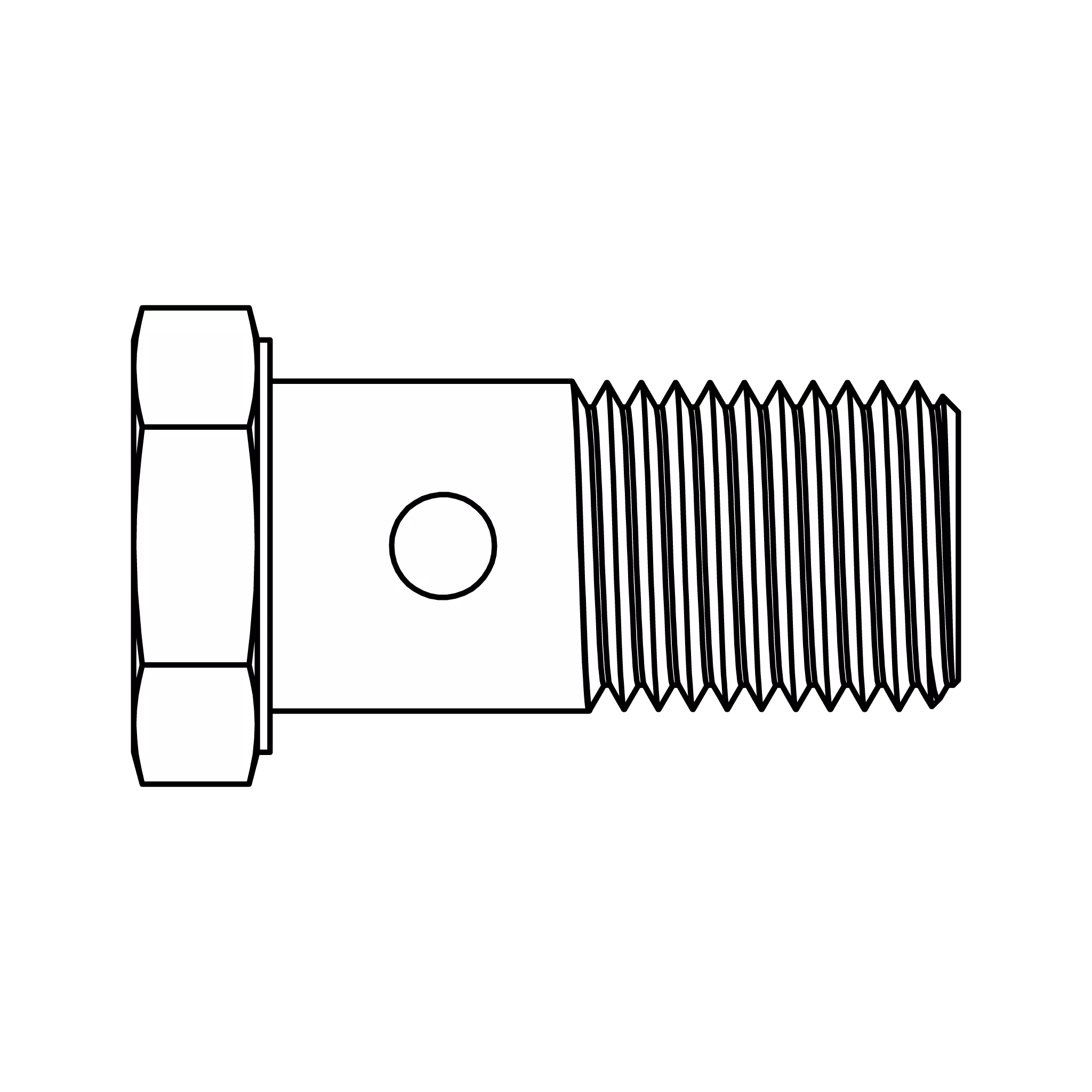 banjo-bolt-b16-banjo-bolt-bspp BANJO BOLT B16 Banjo Bolt (BSPP)