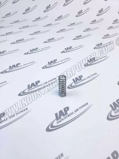 P10071A Pump Oil Spring